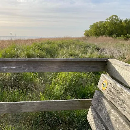 Apartment Uttied - Komfortabel Und Modern! *